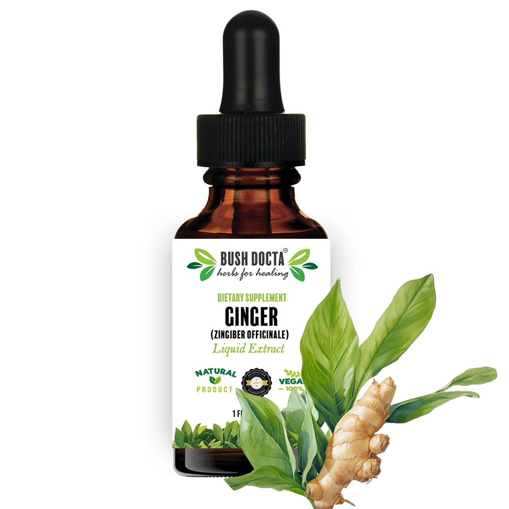 Ginger Extract