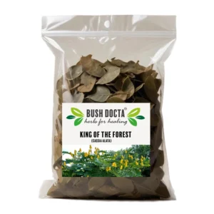 King of The Forest | Cassia Alata